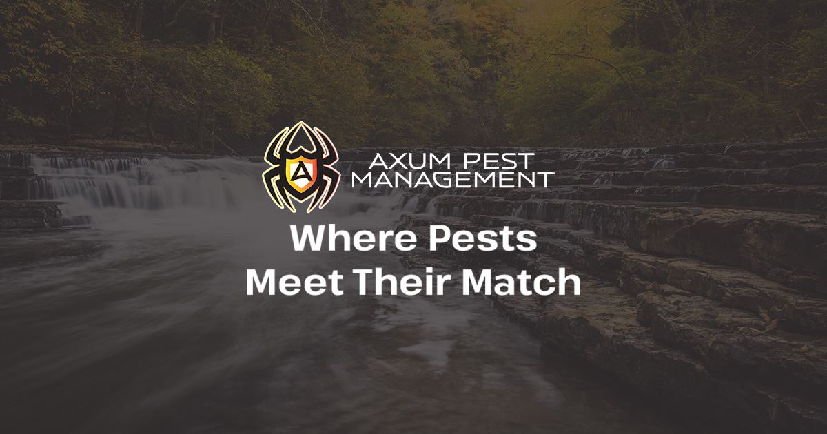 Pest Control in Cookeville, TN Axum Pest Management